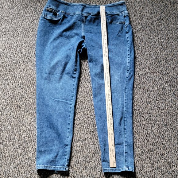 DG2 by Diane Gilman Light Wash Stretch Jeggings Size 1X - Picture 6 of 13